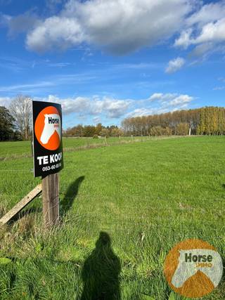 HOFSTADE - Weide op +/-58areDit perceel kunt u terugvinden onder AALST AFD5/Hofstade sectie: C, nummers: 739c - 739e - 740b - 741b.Vrij van pacht en...