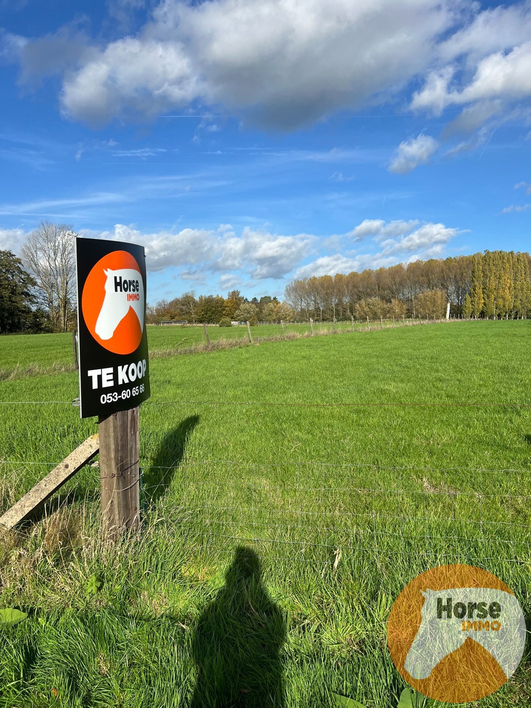 HOFSTADE - Weide van +/-58are - foto 1