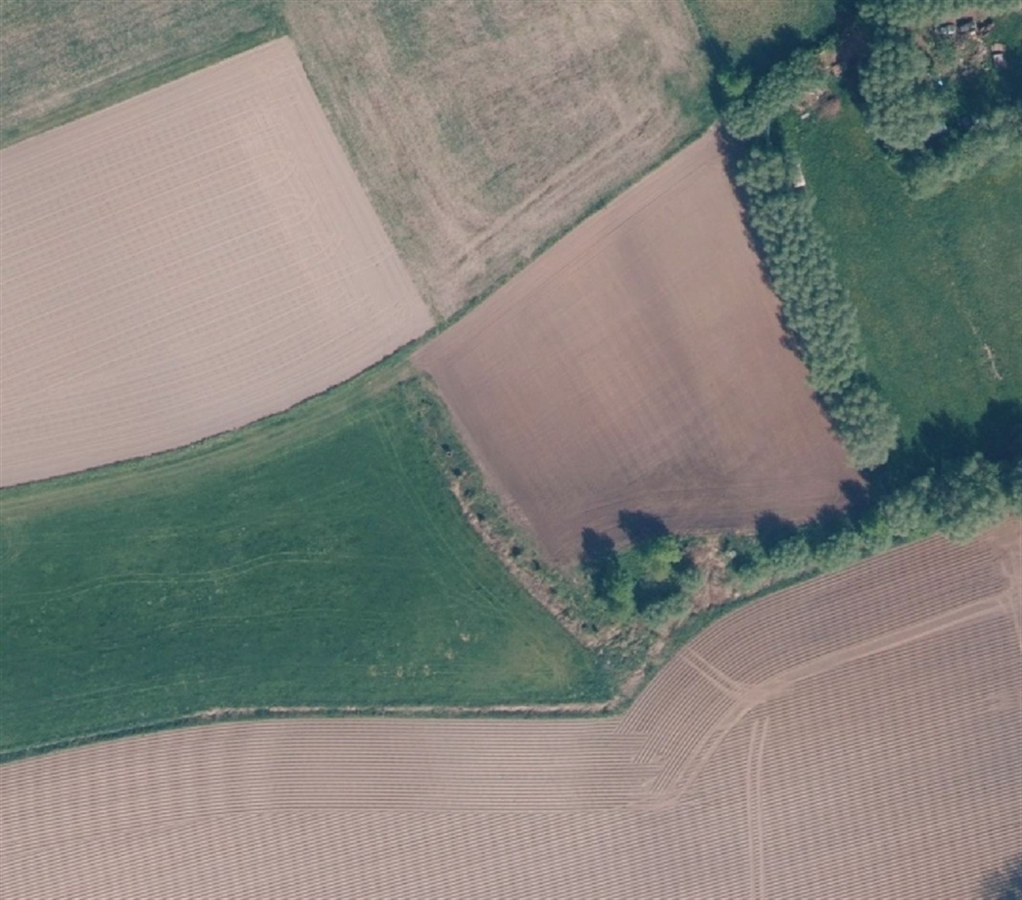 Interessante landbouwgrond op 6.077 m2 !Belangstelling ? neem contact op via info@derick.be of via 053 70 23 67