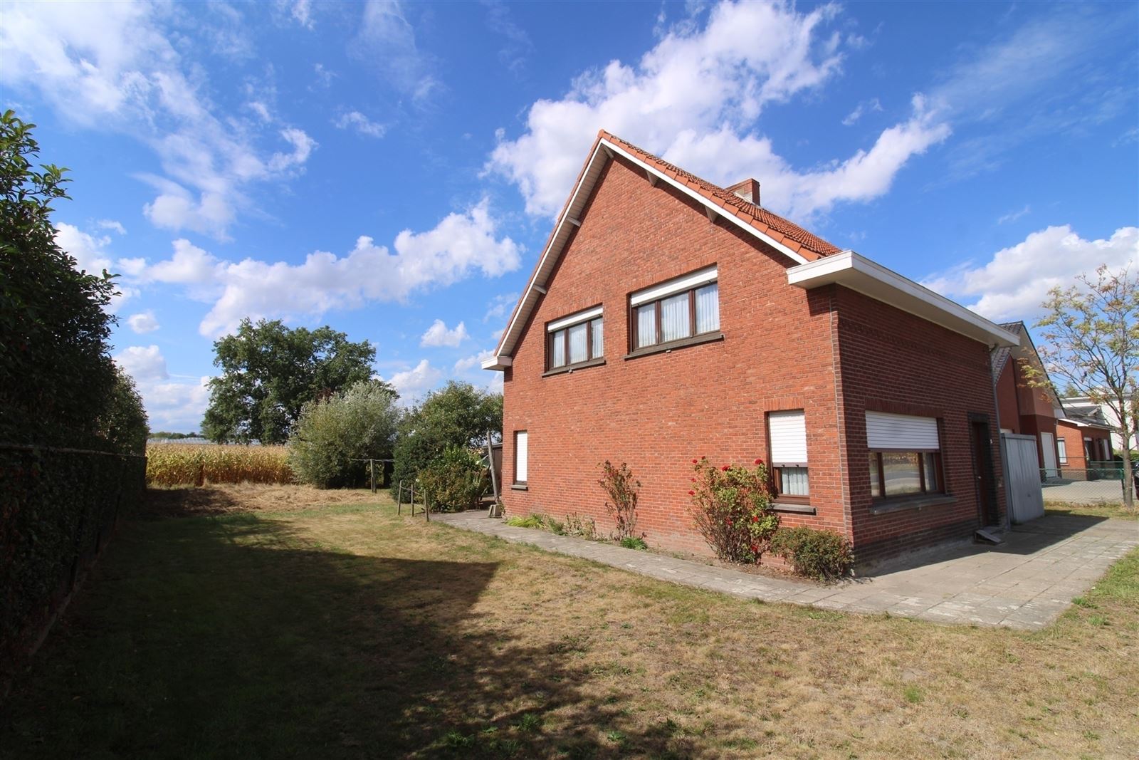 Landelijk gelegen te renoveren woning op mooi perceel - foto 5