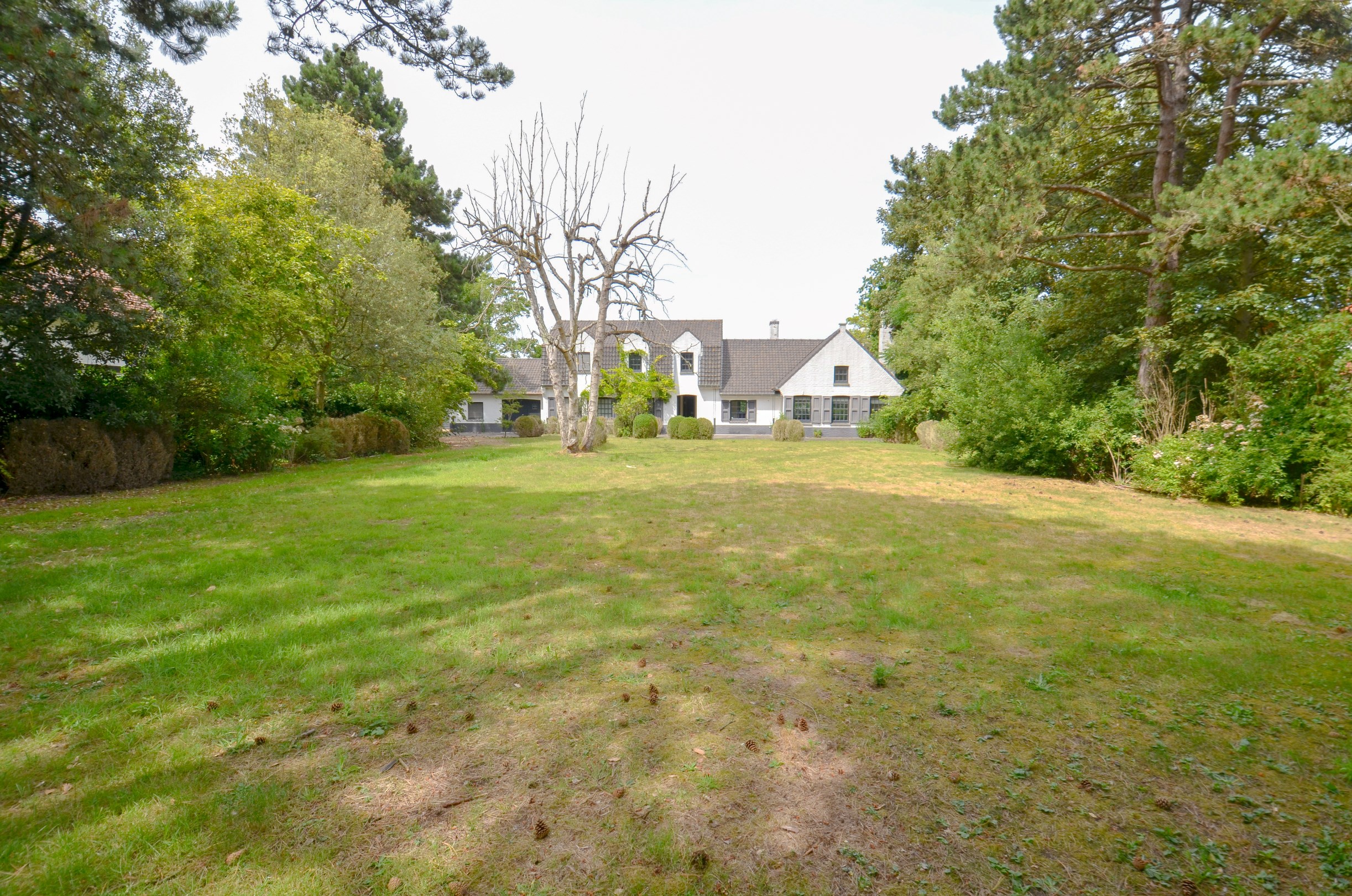 Villa exclusive, située au calme sur un terrain de 1.628 m², à proximité du Royal Zoute Tennis Club. - photo 5