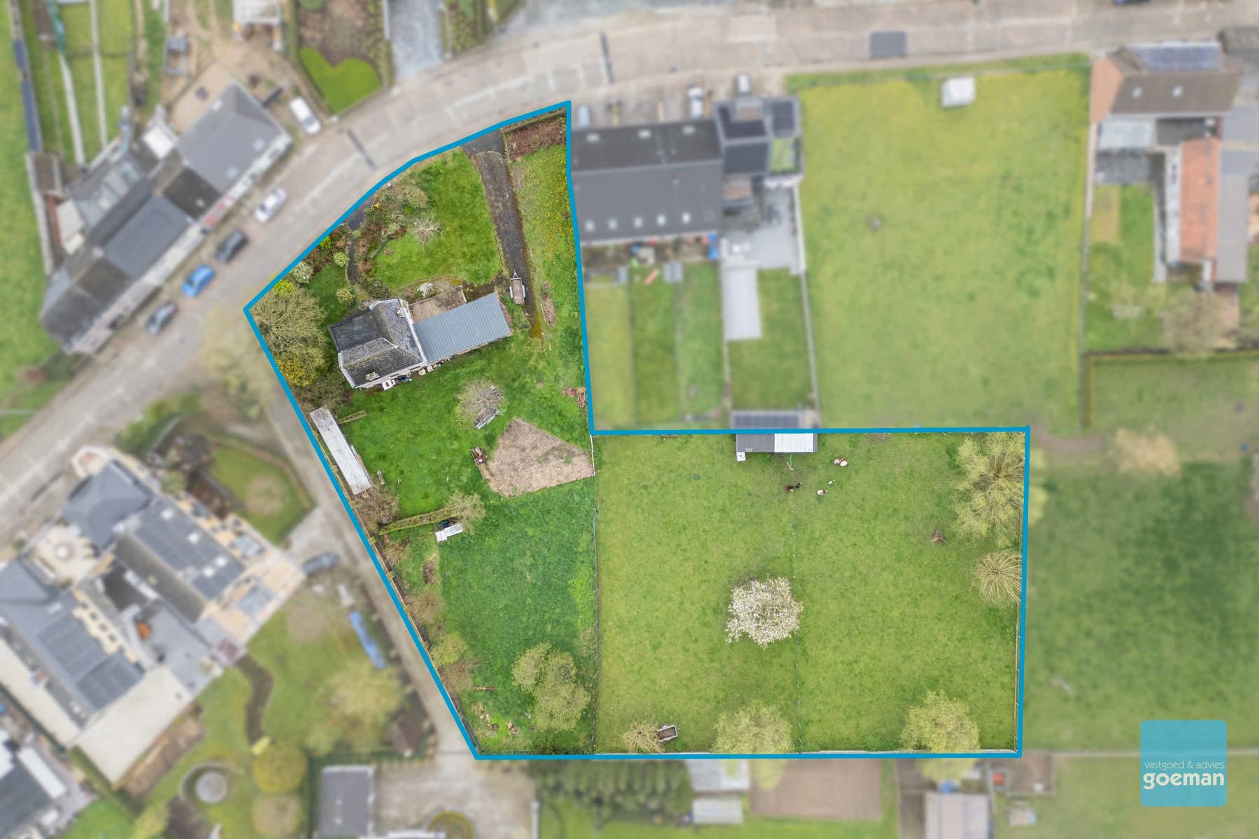 Bouwgrond voor HOB te Erpe-Mere - foto 3