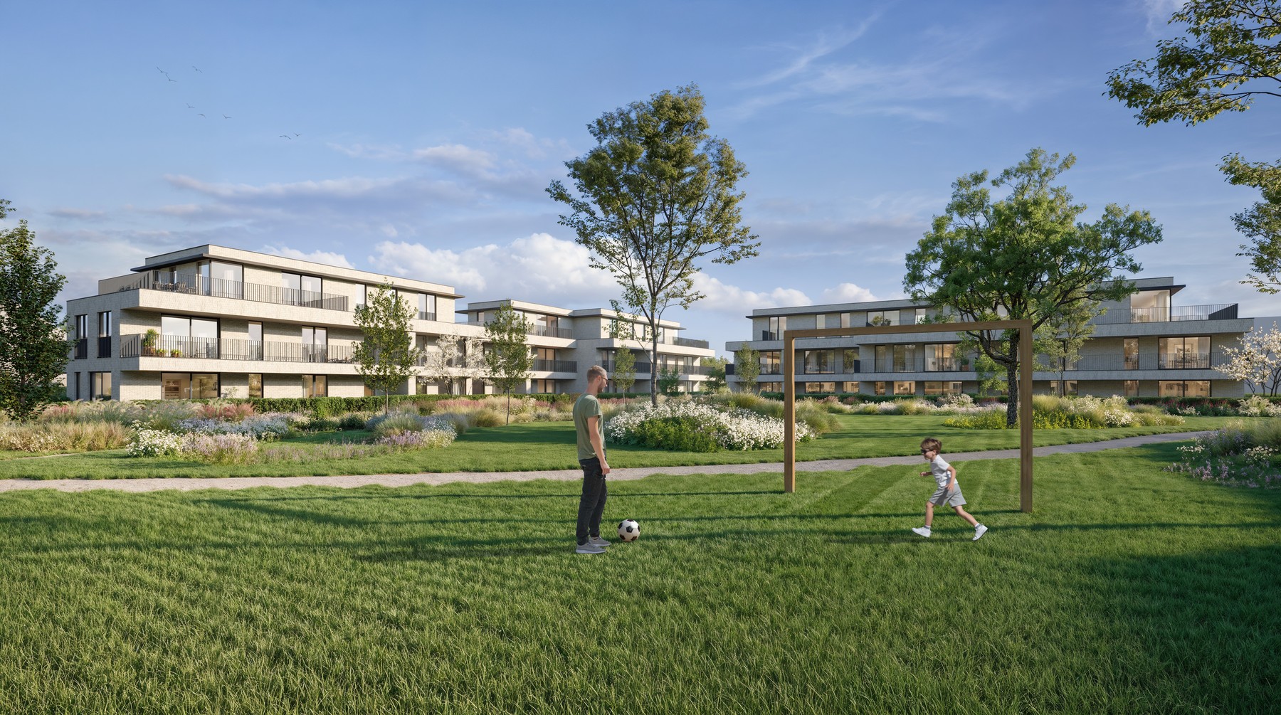 Project te koop in Grimbergen - foto 5