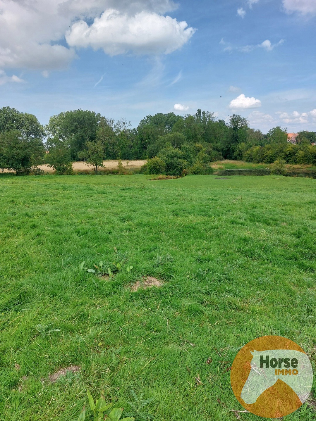 TONGEREN - Weide op +/- 1,5 ha - foto 4