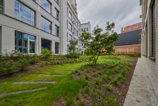 <span><span><strong>Geniet van 6% btw, ook interessant voor investeerders! Informeer naar de voorwaarden.<br /></strong><br />De Bonnefant, Wonen in het midden van de stad en toch omgeven door groen. Een iconisch gebouw op een centrale en culturele locatie waar er ruimte is voor luxe, een onvergetelijke woonervaring of zorgeloos wonen in een assistentiewoning. <br /><br />Tussen de gebouwen van De Bonnefant is een <strong>groene doorsteek</strong> gecreëerd die de Demerstraat rechtstreeks verbindt met het begijnhof. Gezellig vertoeven in één van de twee gemeenschappelijke binnentuinen of liever een barbecue met de buren? Bovendien hebben de terrassen geïntegreerde plantenbakken die zijn uitgerust met een automatisch beregeningssysteem. Een extra groene beleving is verzekerd.<br /><br />Het bestaande RTT-gebouw is volledig gerenoveerd met het behoud van de Hasseltse authenticiteit en verder uitgebreid met energiezuinige nieuwbouw. Parkeren in het centrum is geen evidentie maar toekomstige bewoners van De Bonnefant kunnen parkeren in de ruime ondergrondse parkeerplaats. Je kan ook je fiets kwijt in de fietsenstalling.<br /><br /></span></span>
<p><strong>APPARTEMENT A4 AS 03</strong> - verdiep 4</p>
<span><span>- bewoonbare oppervlakte: 59,68 m²<br />- oppervlakte terras: 17,59 m²<br />- leefruimte met open keuken<br />- terras met zicht op de gezellige verkeersvrije Bonnefantensteeg<br />- slaapkamer met ensuite-badkamer<br />- berging<br />- ideale investeringsopbrengst<br /></span></span>
<p>GENIET VAN <strong>6% btw</strong> (onder voorwaarden). Vermelde prijs is exclusief ondergrondse parkeerplaats en exclusief registratie, btw en notariskosten. Alle appartementen werden intussen volledig afgewerkt en zijn <strong>onmiddellijk bewoonbaar.</strong></p>
<span>Wij ontzorgen je ook voor <strong>de verkoop</strong> van je <strong>huidige woning</strong>! Voor meer uitleg helpen we je graag verder.</span>