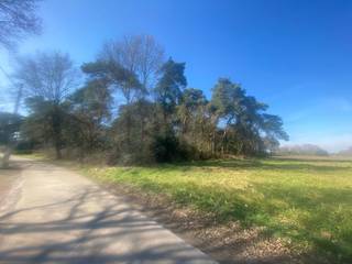 Land for sale in Balen