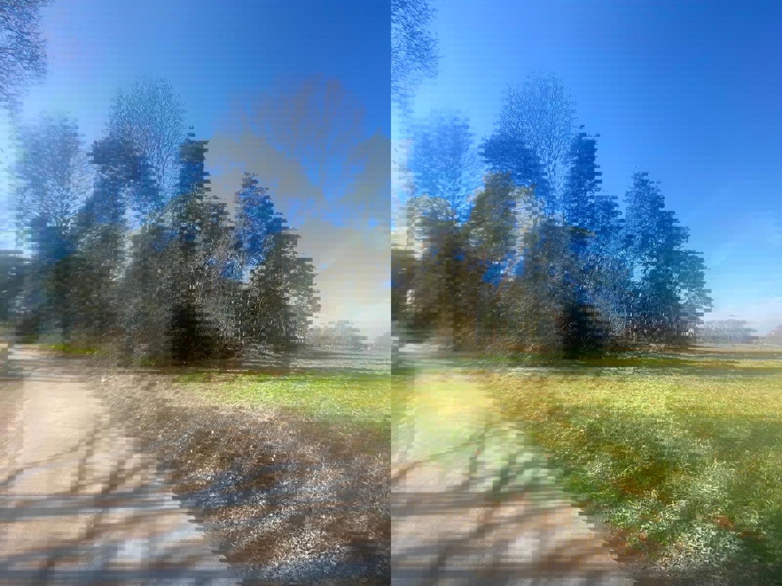 Land for sale in Balen - photo 2