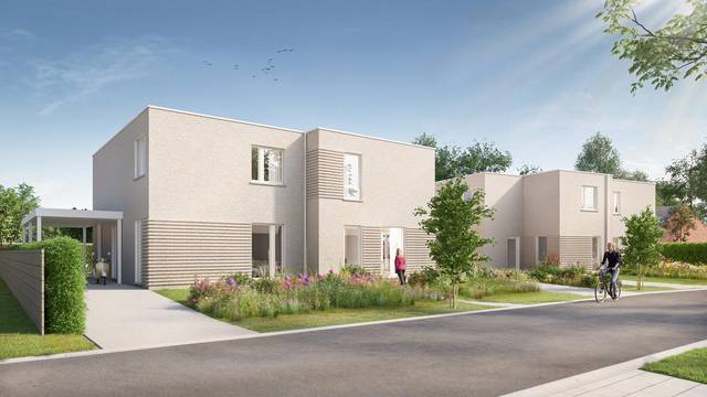 Project te koop in Aarsele
