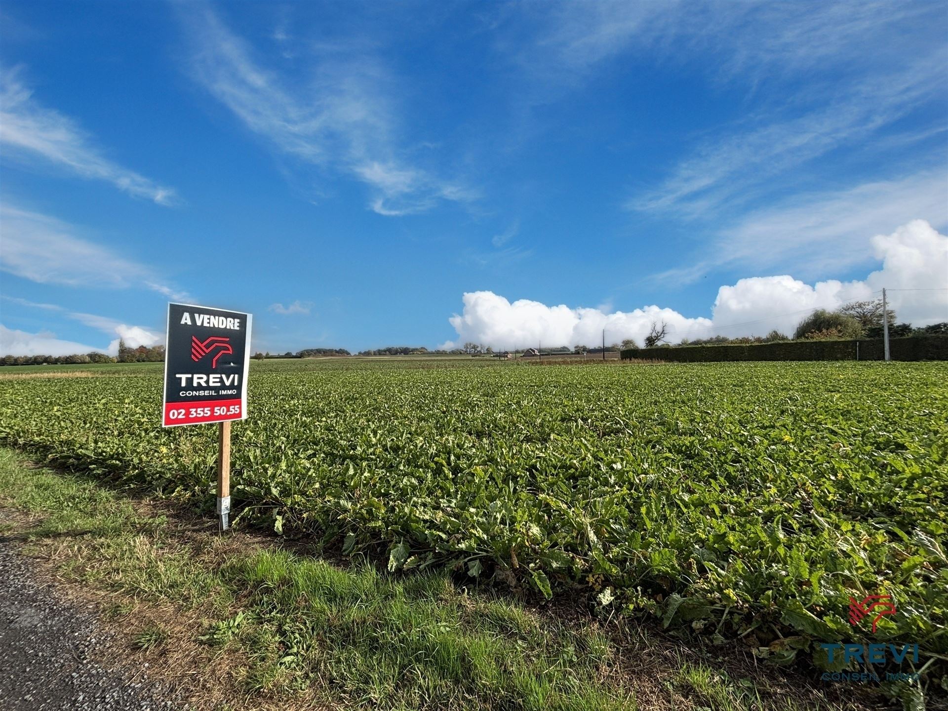 Land for sale in Ath - photo 4