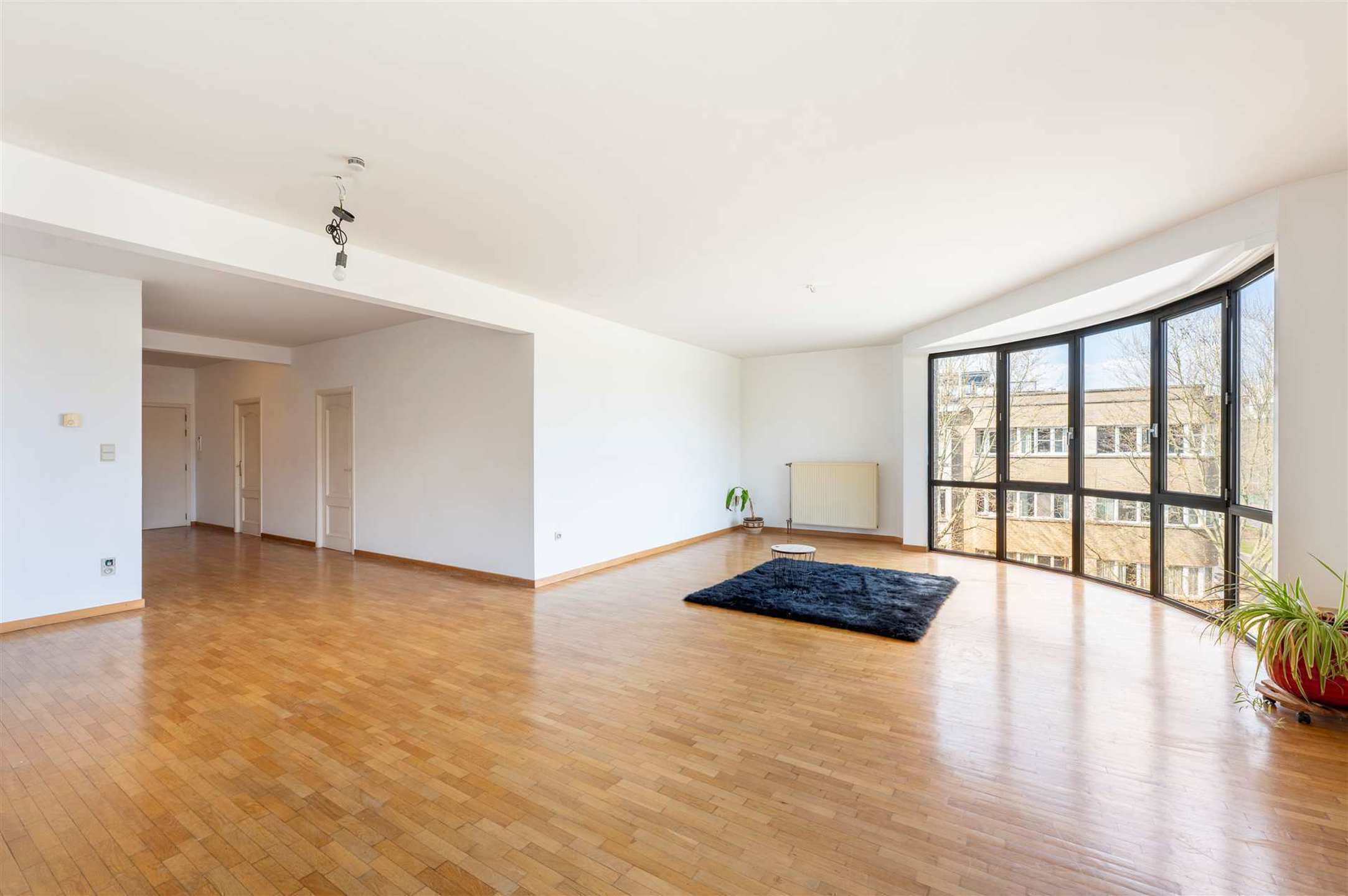 Wonen in de Pullhofbuurt - foto 4
