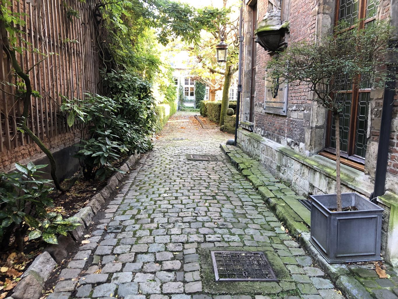 Venusstraat - foto 4