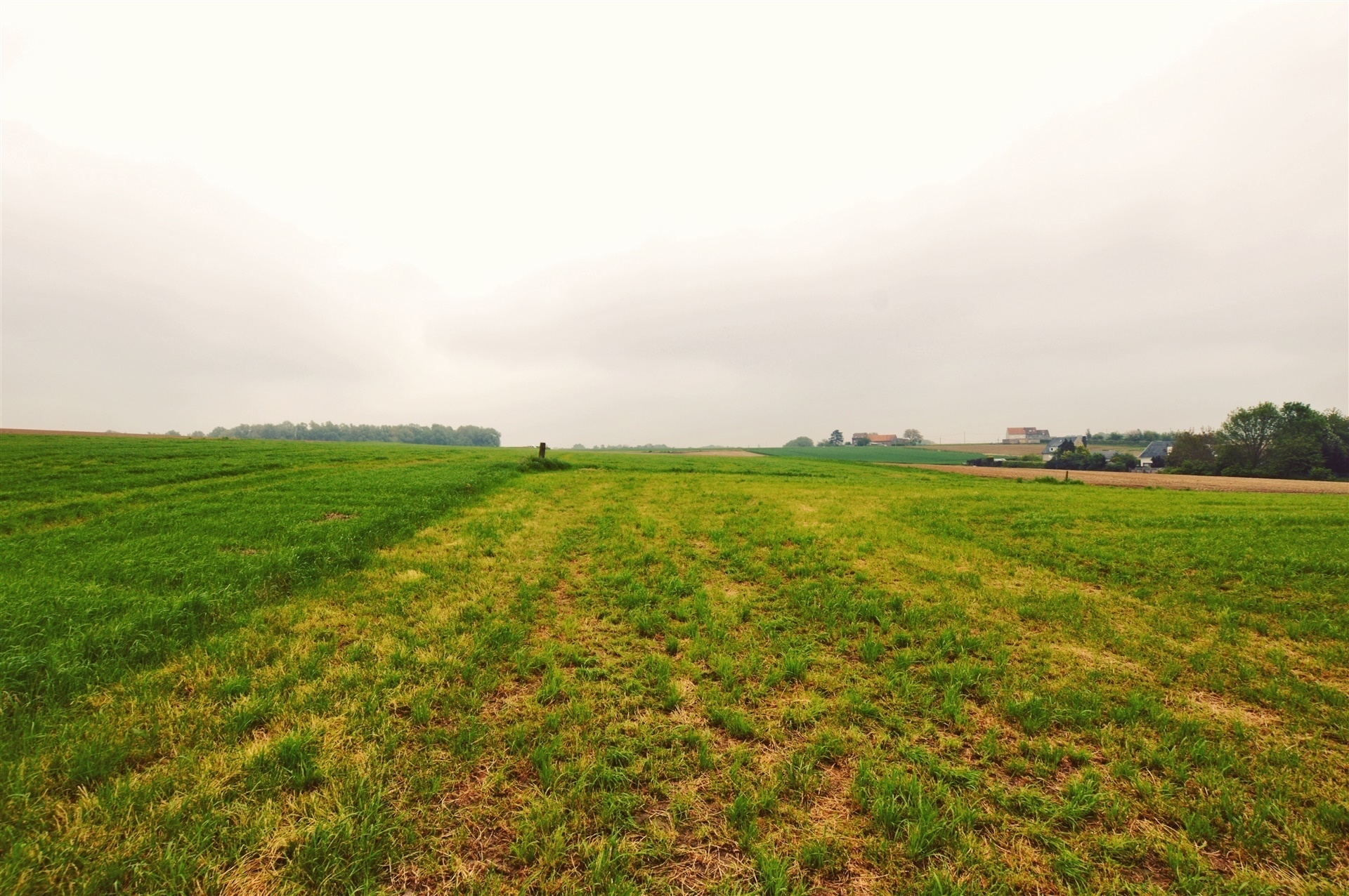 Bouwgrond van 50 are met groenzicht in Bekkerzeel - foto 5