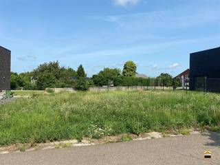 Terrain à vendre à Tongres-Borgloon