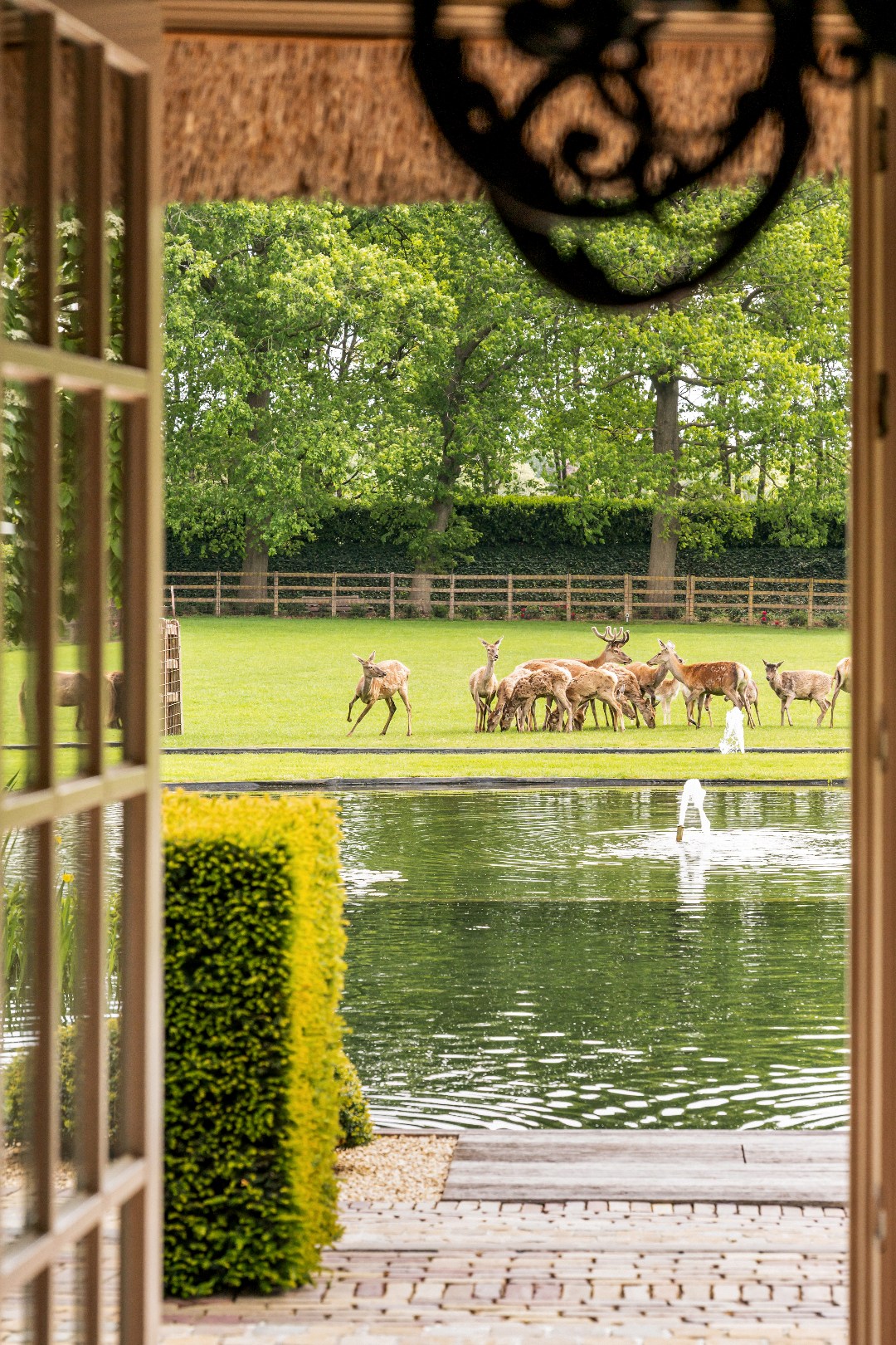 Prachtige hoeve op domein van 2,3 HA te Pelt - foto 4