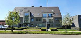 <p><span>Dit verzorgde gelijkvloerse appartement biedt een aangename combinatie van ruimte, licht en comfort. De ruime woonkamer geniet van veel natuurlijke lichtinval en sluit mooi aan op de ingerichte keuken. Verder beschikt het appartement over een praktische inkomhal, twee bergplaatsen, een badkamer met meubel en ligbad, een afzonderlijk toilet en twee grote slaapkamers. Buiten geniet u van een mooi aangelegd tuintje met terras en een achterpoortje. Dankzij de zuidwestelijke oriëntatie kunt u hier volop genieten van de namiddag- en avondzon.</span></p><p><span>Bij het appartement is een staanplaats voorzien  en bijhuren aparte garagebox mogelijk.</span></p><p><span>Het appartement is bovendien gunstig gelegen in de nabijheid van verschillende winkels en voorzieningen. Een bushalte, slagerij Het Witte Huis, een groentekraam en een broodautomaat bevinden zich vlakbij. Aldi en Lidl liggen op ongeveer 1,5 kilometer en een Carrefour buurtwinkel bevindt zich op slechts 1 kilometer afstand.</span></p><p><span>Troeven:</span></p><ul><li><span>Gelijkvloers appartement met tuin en terras</span></li><li><span>Twee ruime slaapkamers en praktische bergingen</span></li><li><span>Centrale ligging nabij winkels en openbaar vervoer</span></li></ul><p><br /> </p><p>Voor extra inlichtingen en afspraak: 03/778.19.63</p>
