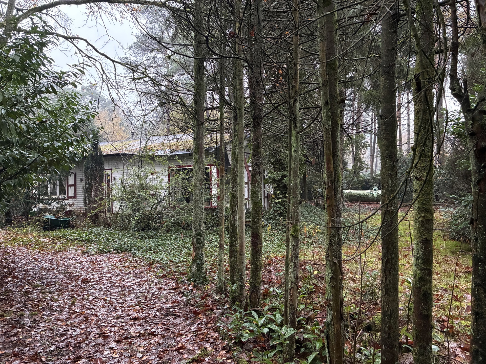 Grond te koop in Schilde - foto 3