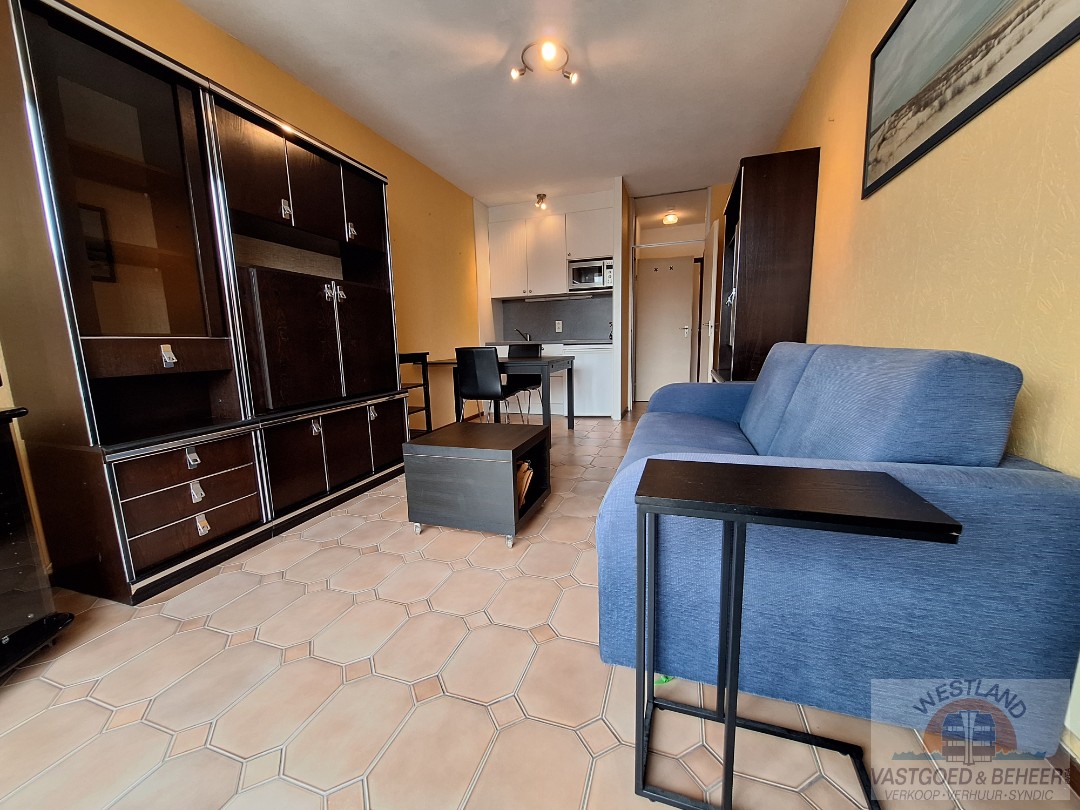 Knusse gemeubelde studio - photo 2