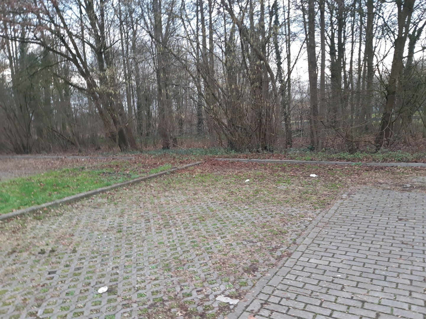 Gezellig 1 slpk-appartement / loft met terras. - foto 2