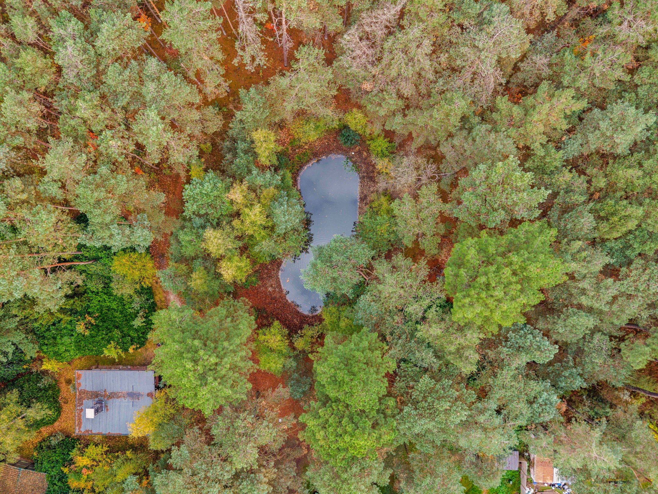 Terrain à vendre à Lille - photo 2