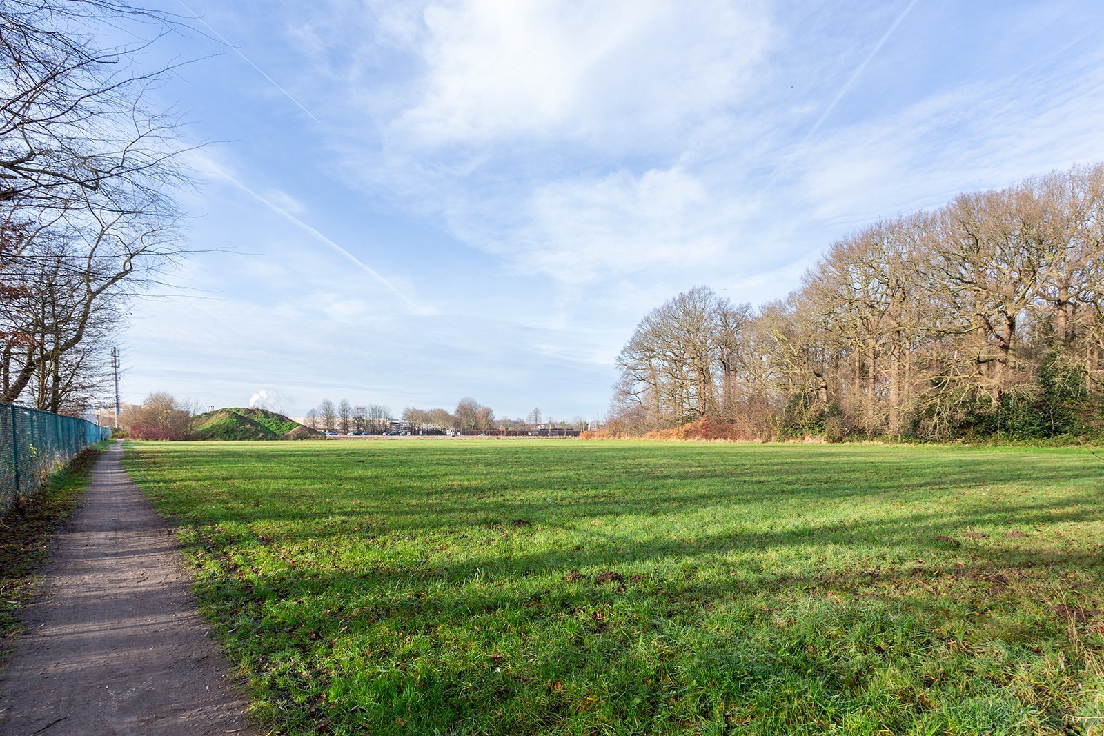Uniek domein met villa, magazijn en uitgestrekte gronden - foto 3