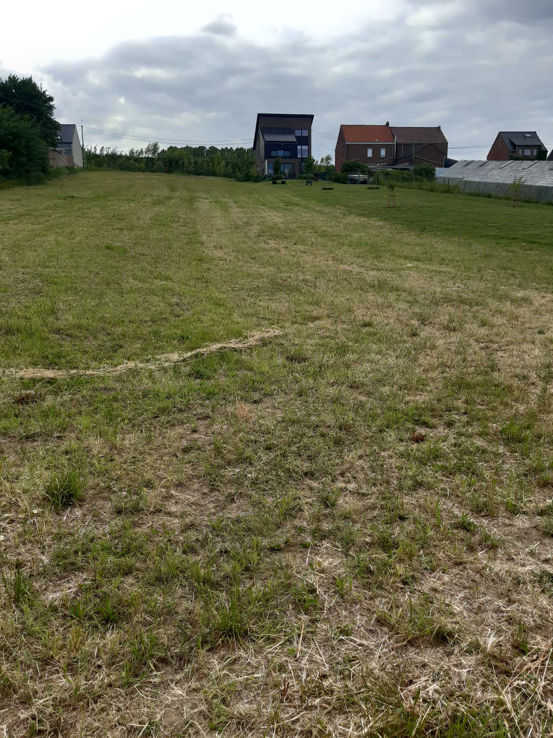 Grond te koop in Loonbeek - foto 3