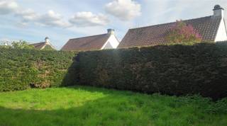 <p>Goed gelegen vakantiehuis te renoveren.</p><p>Dit in het domein Duinhoek 2.</p><p>Grote living afgesloten met muur van de keuken, 1 slaapkamer beneden,</p><p>2 slaapkamers boven, 1 douchekamer met toilet, keuken, afgesloten tuin</p><p>volledig naar de zon gericht, parking voor de deur.</p><p>Renovatieplicht : ja.</p><br />