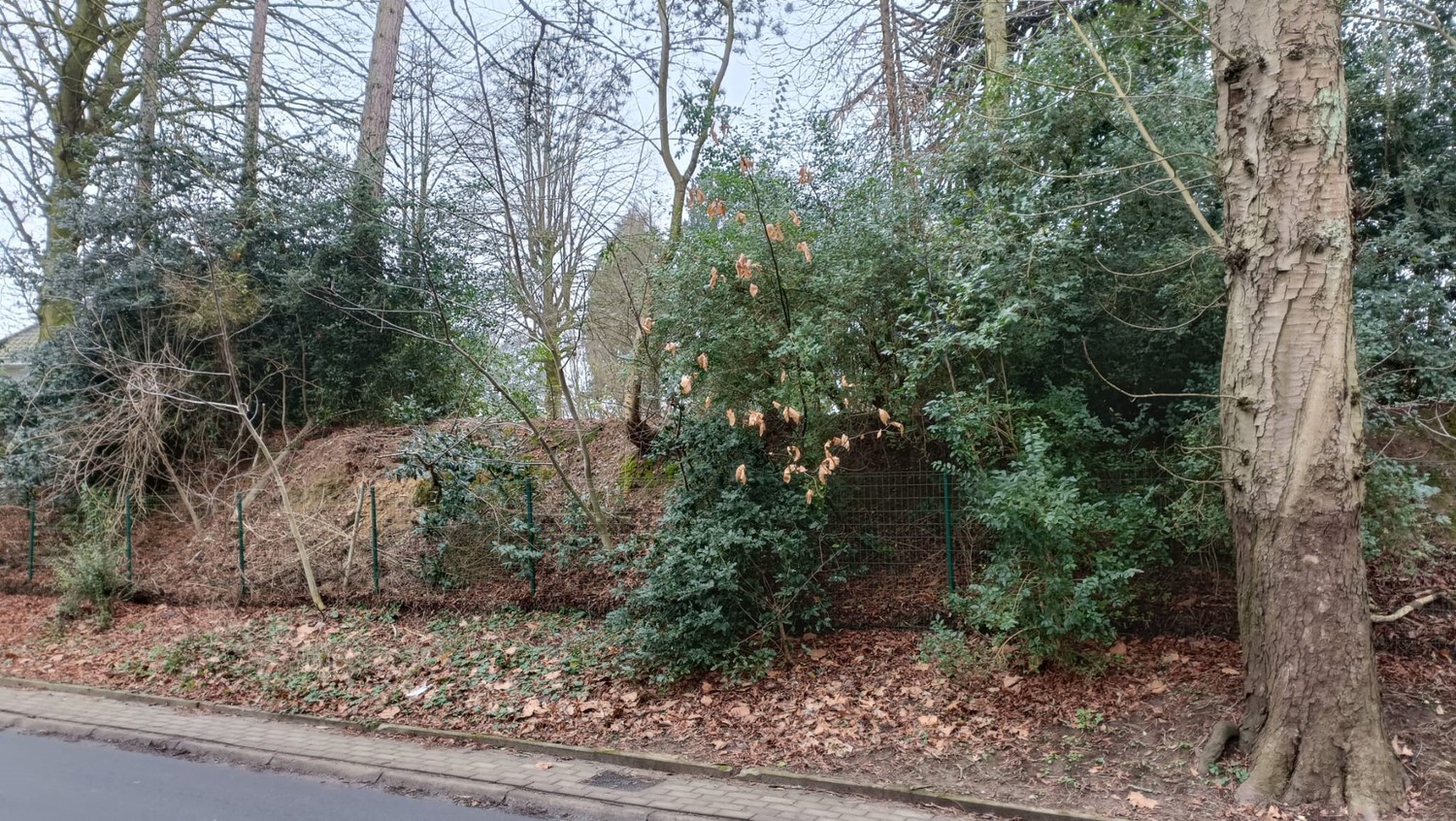 Residentieel gelegen bouwgrond voor open bebouwing - foto 5