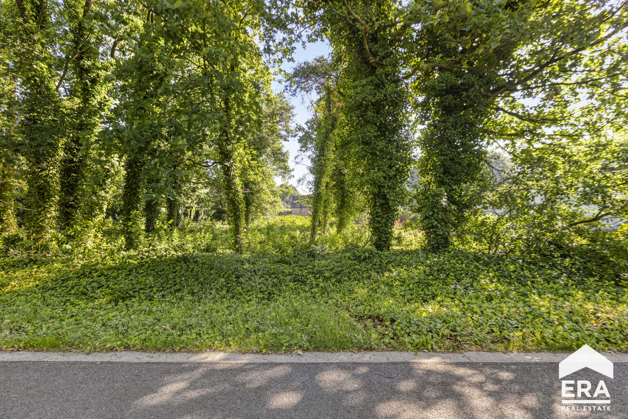 Prachtige bouwgrond (1.266m²) te koop in Lommel - foto 4