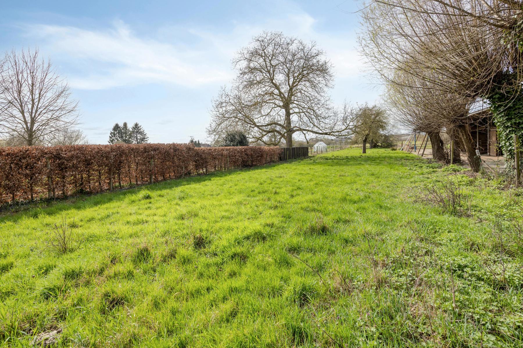 Bouwgrond voor een halfopen woning van bijna 2.000m² in Bierbeek - foto 5