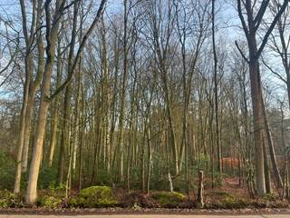 Terrain à vendre à Zoersel