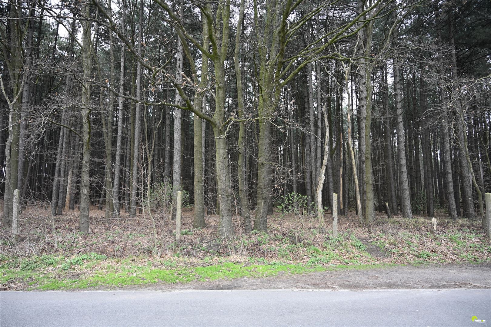 Mooie bosgrond met loofbomen te Wachtebeke! - foto 4