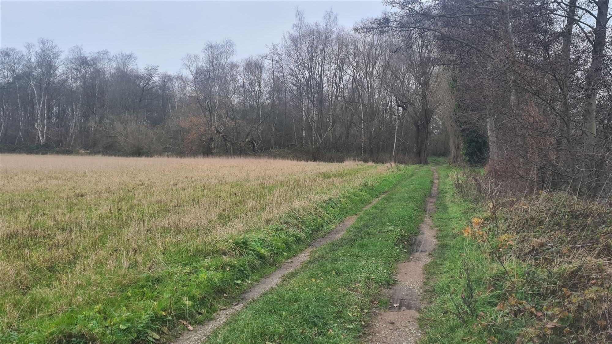 Landbouwgrond - foto 5