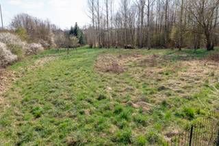 Deze 3 percelen natuurgrond in Vlaanderen vormen een uitzonderlijke opportuniteit voor wie wil investeren in open ruimte met ecologische waarde...