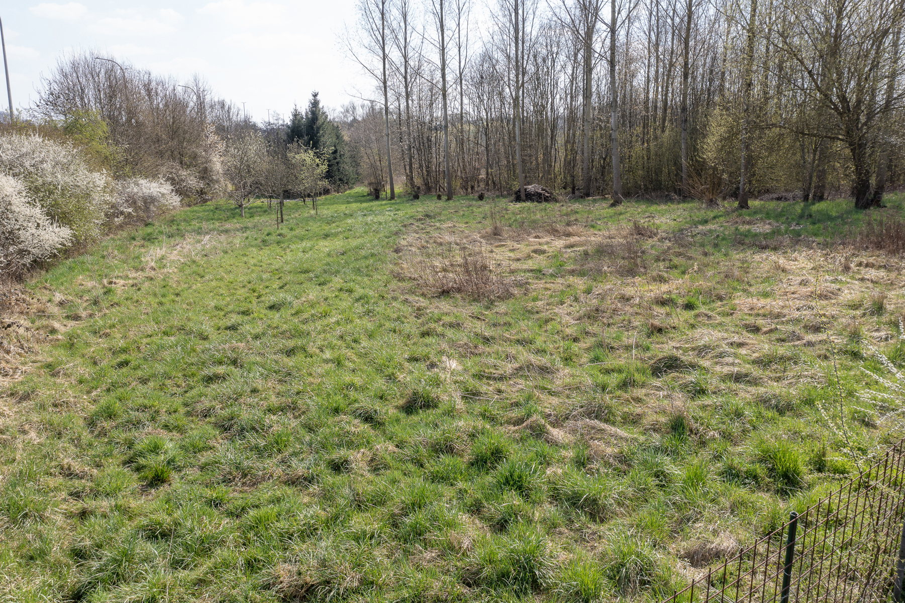 3 percelen natuurgrond in Vlaanderen - foto 3