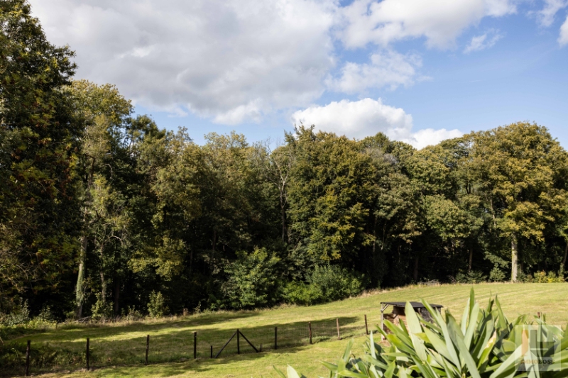 Charmante woning met tuin aan de bosrand te Vloesberg/Flobecq - photo 5