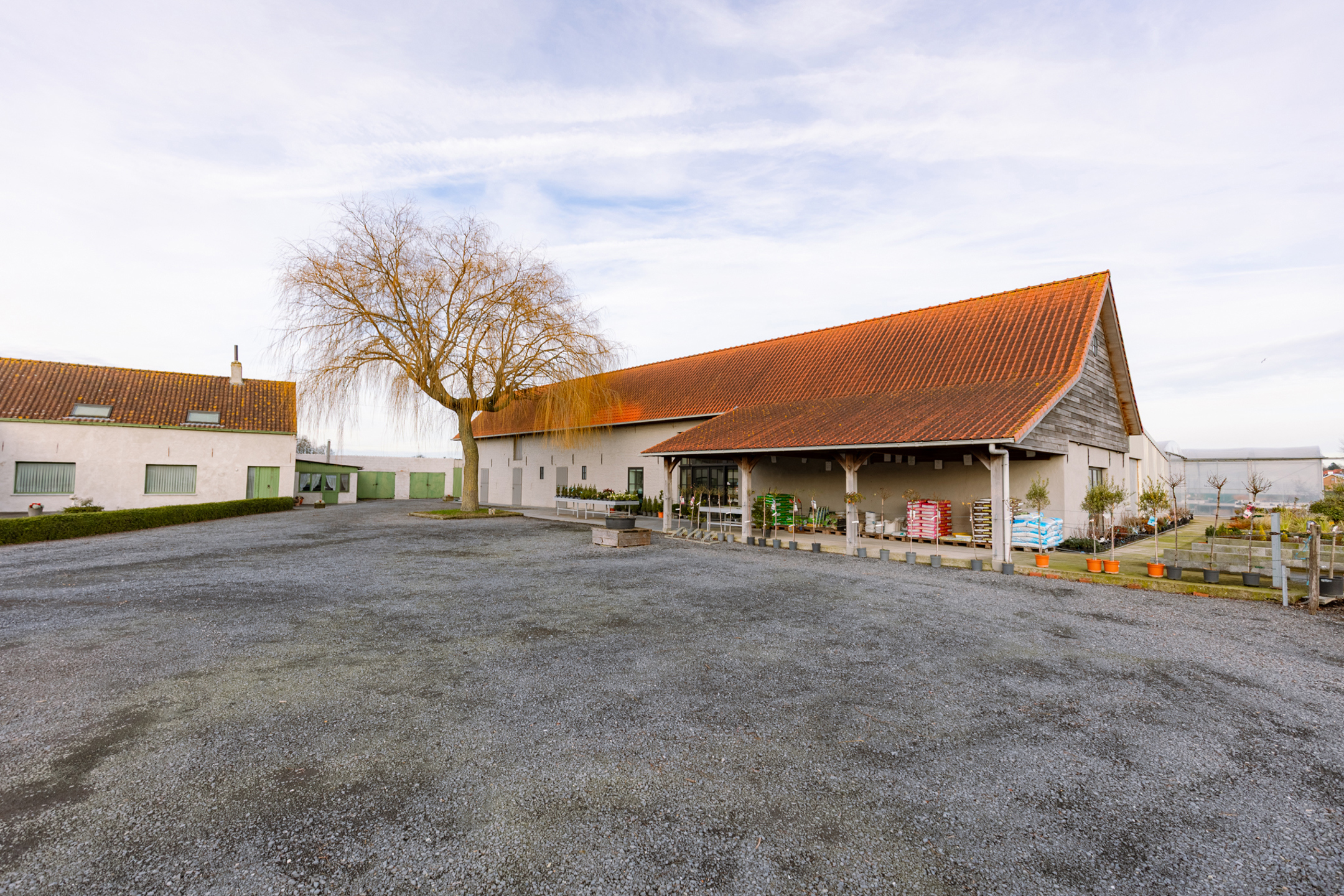 Hoeve met commerciële zichtlocatie in Torhout + weiland  - foto 3