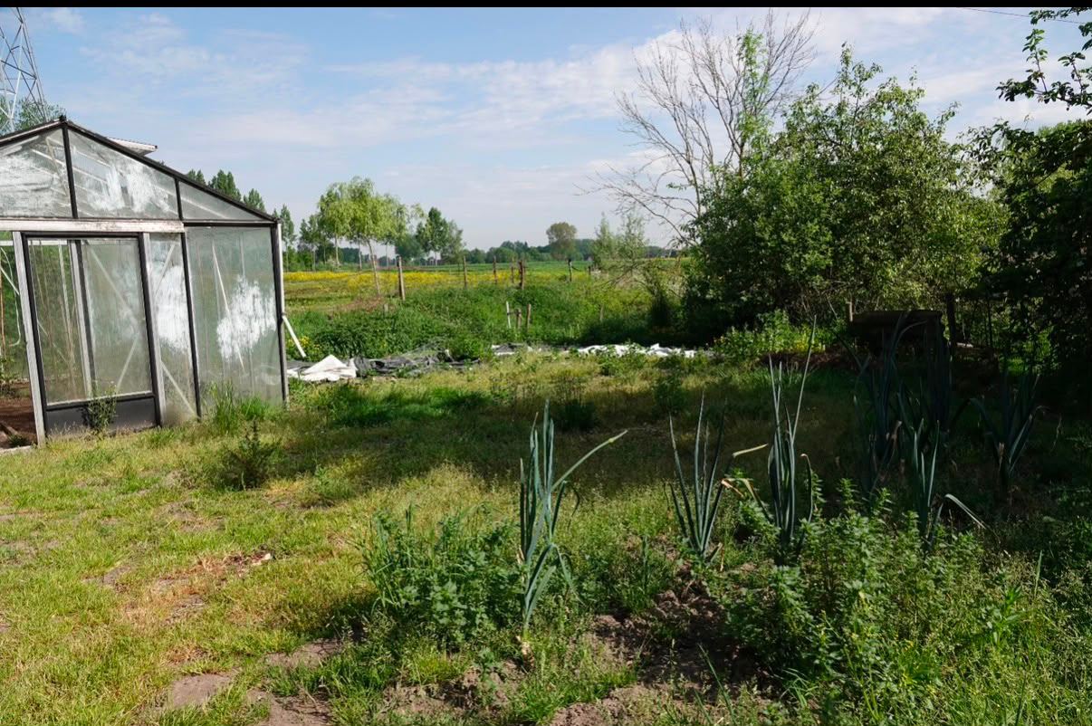 Huis te koop in Steendorp met 4 slaapkamers - foto 4