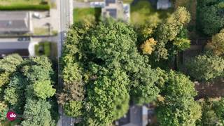 Mooi perceel grond van +/- 15a50ca voor open bebouwing nabij het Blosodomein Hofstade Op zoek naar een ruim stuk grond dat centraal gelegen is? Dan...
