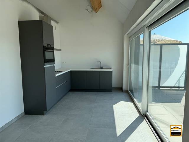 Project te koop in Borgloon