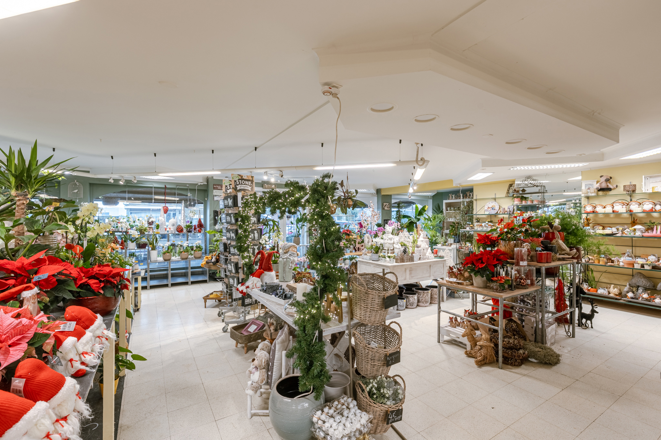 Zichtlocatie! Handel + wonen op ruim perceel Zedelgem - foto 5