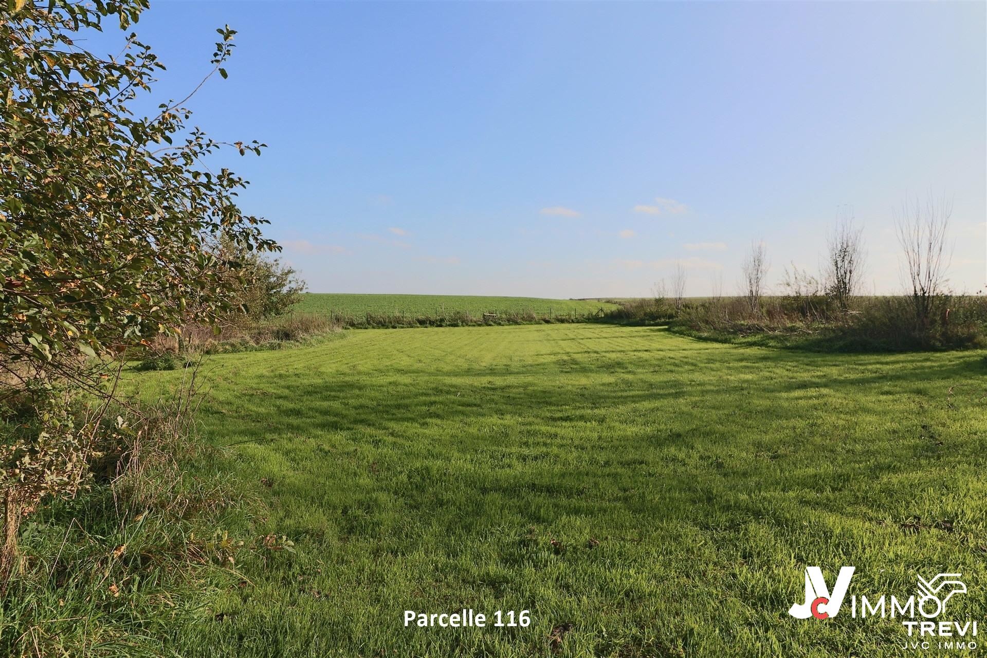 Grond te koop in Orp-Le-Grand - foto 5