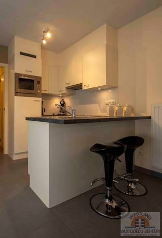 Op zoek naar een knus en goed onderhouden appartement aan de Belgische kust? Dit charmante 1-slaapkamerappartement in Koksijde biedt beperkt...