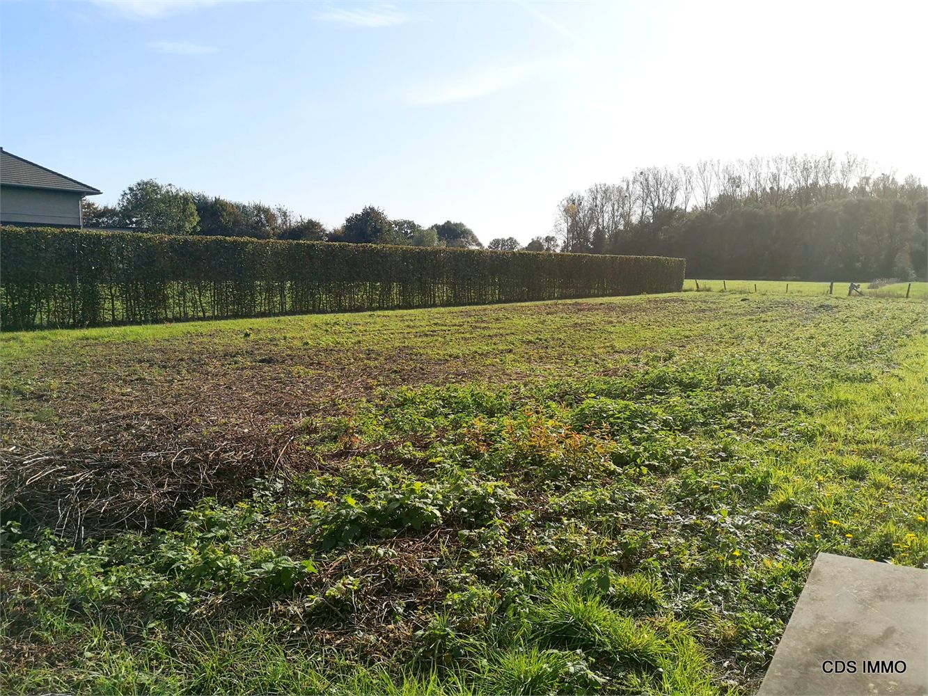 Terrain à vendre à Tielt-Winge - photo 5