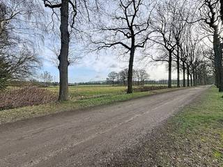 Dit stuk grond van 9396m² is gelegen aan de Leemdreef in Gooreind.Het terrein bevindt zich in landschappelijk waardevol agrarisch gebied.Interesse in dit ruime perceel bouwland?Vraag meer informatie aan via veerle.pierar@dewaele.com of 03/369.42.50.(ver-)Kopen of (ver-)huren in de Noorderkempen?Met vragen kan u altijd bij ons terecht!Dewaele VastgoedBestuursmaatregelen in het maatregelenregister: nee