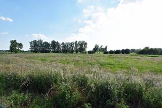 Land for sale in Aalter