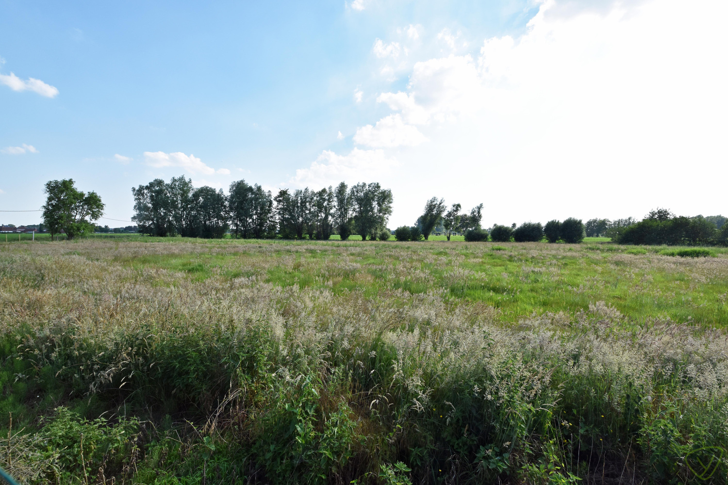 Land for sale in Knesselare - photo 2