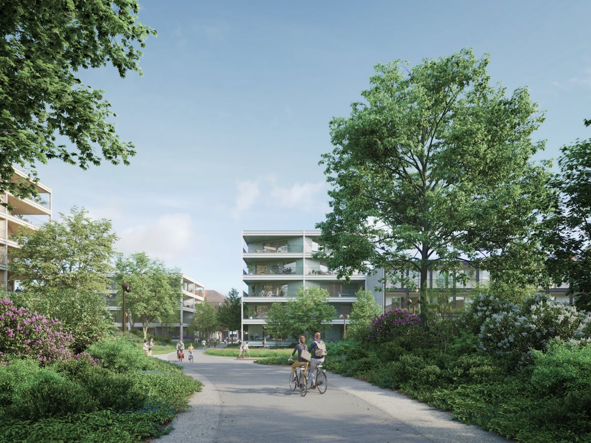 Loof - Park Nolf te Kortrijk - foto 5