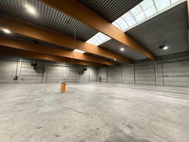 RUIM, INSTAPKLAAR MAGAZIJN MET MODERNE KANTOORRUIMTE TE HUUR IN ZELE - foto 5