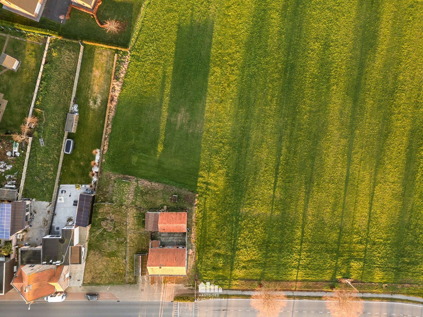 Land for sale in Ypres with 4 bedrooms - photo 4