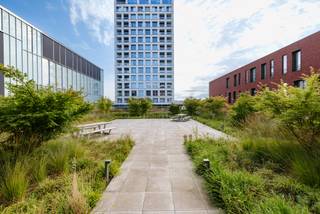 TURNOVA TOREN, EXCLUSIEF WONEN IN HET CENTRUM VAN TURNHOUT <br /><br />In het centrum van Turnhout, vlak bij de Grote Markt, maakt u kennis met “Turnova”! Een bruisend nieuw stadsdeel. Naast appartementen en een 40-tal winkels is er ook plaats er ook de nieuwe Stedelijke Academie van Schone Kunsten, luxe-hotel Corsendonck, 3 restaurants waarvan we “Hert” terugvinden op de hoogste verdieping van de Turnova Toren met een ongelooflijk uitzicht en een grote ondergrondse parking. Drie pleinen met een eigen sfeer versterken het stadshart. Samen met de gezellige cafés, restaurants en terrasjes geeft Turnova ongetwijfeld een nieuwe dimensie aan het stadscentrum.<br /><br />Blikvanger in dit geheel wordt meer dan zeker de TURNOVA TOREN, het hoogste gebouw van de regio. Deze toren zal bestaan uit kantoren, horeca en woonappartementen, waar de bewoners bijna letterlijk met hun hoofd tussen de wolken zullen leven met een prachtig uitzicht.<br /><br />Momenteel zijn nog enkele appartementen beschikbaar in de Turnova Toren, wees er dus snel bij!<br /><br />Bent u op zoek naar een appartement en zou je ook tussen de wolken willen wonen temidden van het bruisende Turnova? Maak dan nu een afspraak via nieuwbouw@hillewaere.be of contacteer onze nieuwbouw makelaar om meer te weten te komen over dit project op 014/ 45 10 11 !<br /><br />Tot binnenkort in de Turnova Toren!